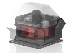 RCD 31D/4.T