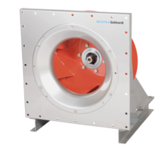 Nicotra Kaideli RLM E3-2831-BI-IG-M